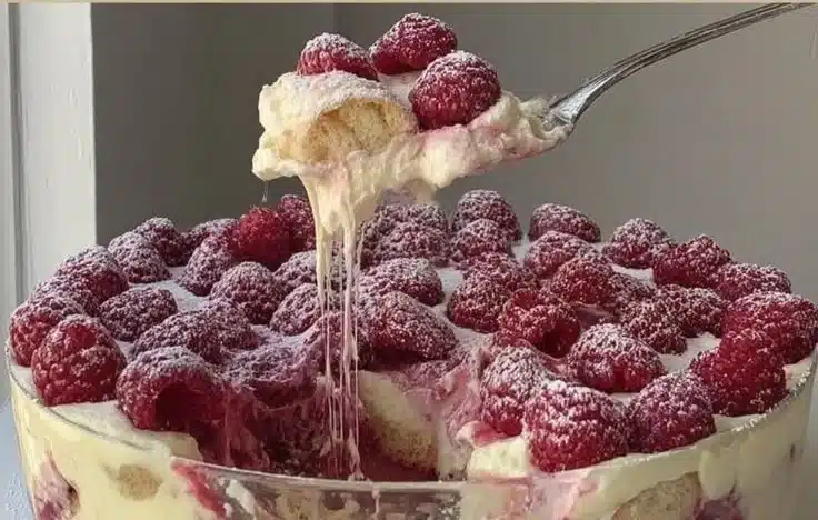Raspberry Tiramisu Cream Dessert