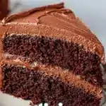 Delicious double layer chocolate cake with rich frosting and decorations