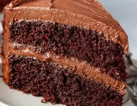 Double Layer Chocolate Cake
