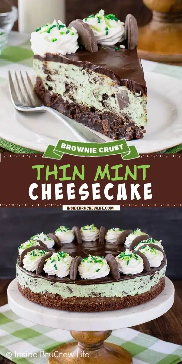 Mint cheesecake with brownie crust topped with chocolate and mint sprigs
